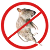 Dead Animal Removal Newtown