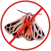 Moth Control Newtown