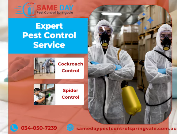Pest Control Newtown
